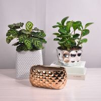 Round shaped vase Flower Pots White with Stripes Decorative mall garden home art Decor planter artificial flower flowerpots