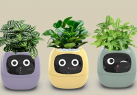 Smart Water-Absorbing Planter