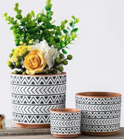 Modern Concrete &amp; Ceramic Planters for Indoor Decoration Ã¢ï¿½ï¿½ Stylish Ceramic Flower Pots