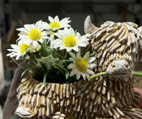 Scottish Highland Cattle Design Succulent Plant Pot Balcony