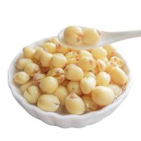 Canned Lotus Seeds