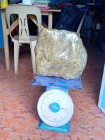 River Jade ( Jadeite and Nephrite)