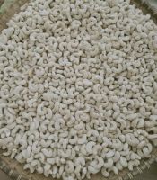 CASHEW NUT KERNEL WW240/320/450 - With Fery Good Price