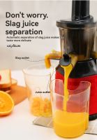 Flesh-Separating Juicer