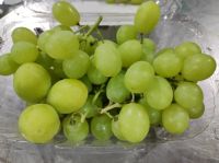 Superior Grapes