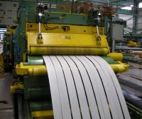 Stainless Steel Strips