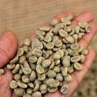 Arabica Coffee Beans 