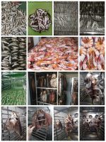 Industrial Heat Pump Dehydrator for Dog Feed Fish Feed Spices Pet food Drying Machine