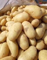 Fresh Egyptian Potatoes 