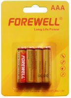 FOREWELL Hot Selling R03 AAA 1.5V Zinc Carbon Battery 2PCS Blister Crad Pack OEM Service