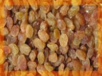 Dried Sultana