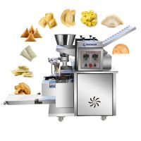 Automatic Multifunction Dumpling Making Machine Pierogi Ravioli Empanada Grain Seed Dumpling Machine