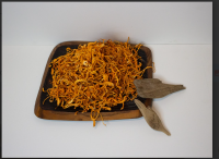 Cordyceps military fruiting body