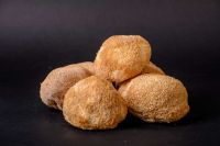 Lion's Mane (Hericium erinaceus)