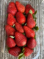 Top Quality Egyptian Strawberries â 100% Natural, Sweet & Fresh Taste at Competitive Wholesale Prices