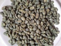 Sumatra Greenbean Coffee Semi Washed Process Specialty Grade