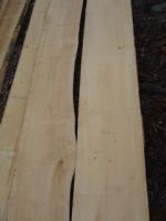 Beech Lumber