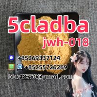 5cladba 5cladbb 5fdab APVP a-PHP protonitazene Bromazolam Eueutylone