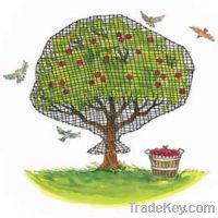 https://www.tradekey.com/product_view/Anti-Bird-Netting-1921966.html