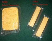 Compressed PVA sponge