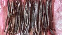 Indonesian Crystallized Vanilla Planifolia Beans