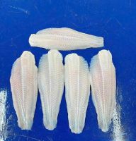 WELL TRIMMED PANGASIUS FILLET