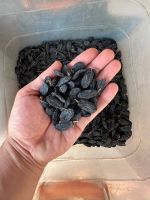 Raisins, Almonds