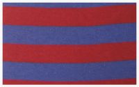 Rib spandex color-stripes