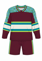 Pro Level Ice Hockey Uniform Set for Men and Women Durable Fabric with Team Colors Ideal for League and Practice Games