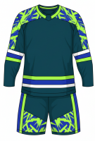 Pro Level Ice Hockey Uniform Set for Men and Women Durable Fabric with Team Colors Ideal for League and Practice Games