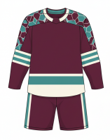 Pro Level Ice Hockey Uniform Set for Men and Women Durable Fabric with Team Colors Ideal for League and Practice Games