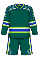 Pro Level Ice Hockey Uniform Set for Men and Women Durable Fabric with Team Colors Ideal for League and Practice Games