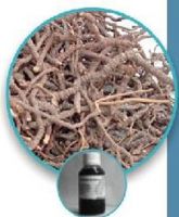 Ipecac root extract