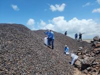 High Grade Columbite Ore For Sale