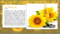 Sunflower-soybeans- corn- palm- oils