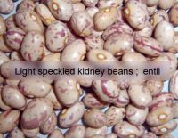 light speckled kidney beans white kidney beans blackkidneybeanslentil