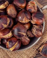 Coffee beans, Sesame Seeds, walnuts , Hazel Nuts , Cashew Nuts, Almond Nuts, Pistachio Nuts , Macadamia Nuts , Pine Nuts , pecan nuts, From South Africa