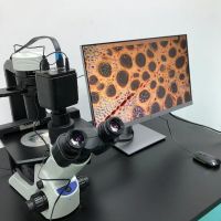 China Kensener microscope cx23