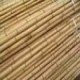 bamboo pole cane stake stick slats
