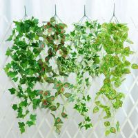 Artificial Green plant  Vine