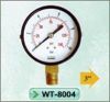 standard dry pressure gauge