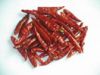 chilli