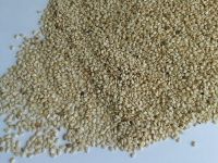 Natural White Sesame Seeds (Single Skin)
