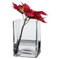 GLASS VASE