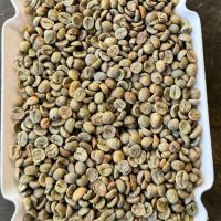 robusta coffee beans From Vietnam