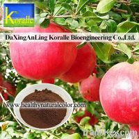 : Pomegranate Extract, ellagic acid
