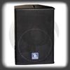 professional speaker(R-115M)