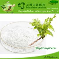 Factory supply Dihydromyricetin,Vine tea extract,Liver protect