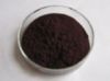 Black Soybean Hull extract 10%