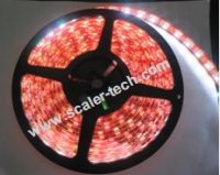 3528 SMD LED Flexible strip